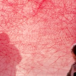 Chiharu Shiota