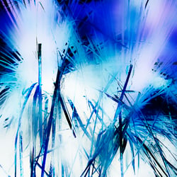 Palm grass