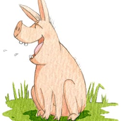 Schwein Hedwig