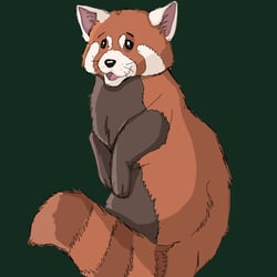 Red Panda