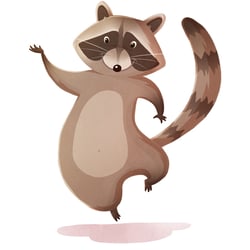 Racoon