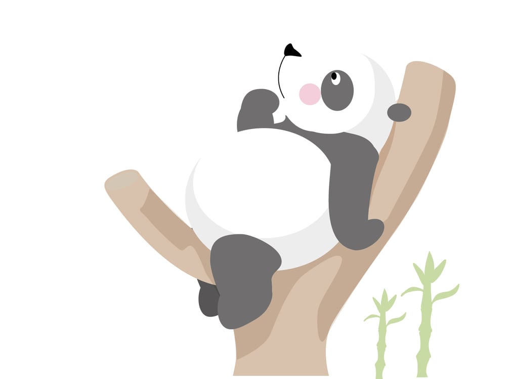 Postkarten Motiv Panda