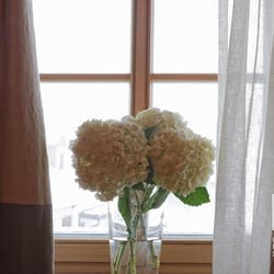 Himmlhof2012-9