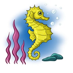 Seepferdchen