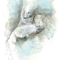 Fighting polar bears