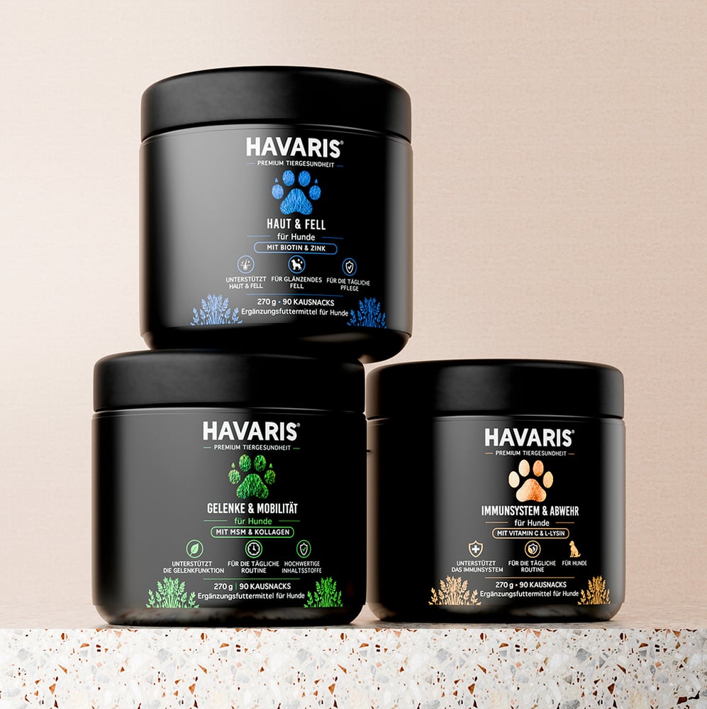 Verpackungsdesign für 3 Supplement-Dosen HAVARIS®