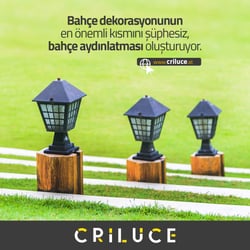 Social Media Design