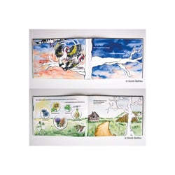 bilderPortfolio3