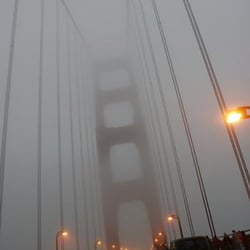 auf Golden G. im Nebel 1