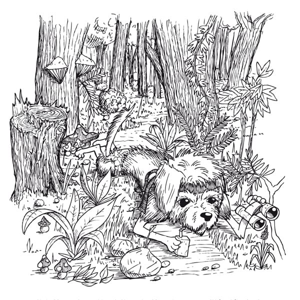 Momo im Wald
