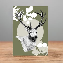 Hirsch 1