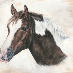 Aquarell / Acryl