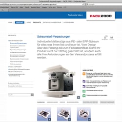 Pack2000 Corporate Design – Website 2