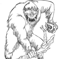 Yeti