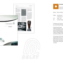 Corporate Design, Umsetzung diverser Medien, Web, Powerpoint, Geschäftsausstattung, Messestand, Präsentationsform für Delsy