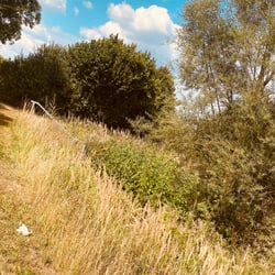 Landkreis Helmstedt / 2022