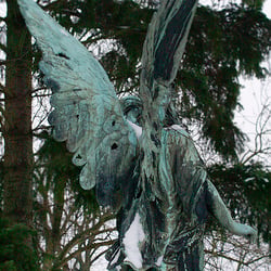 Engel