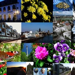 COLLAGE-MIX