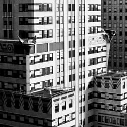 nyc
