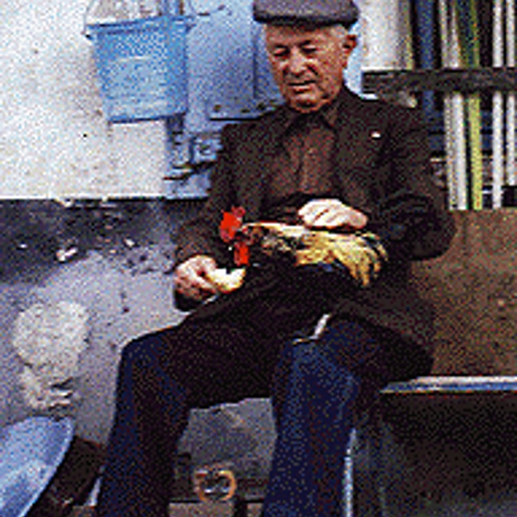 Jörg Gillwald