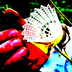 Feather hold in your Hand / Eine Feder in der Hand