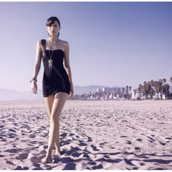 Venice Beach I