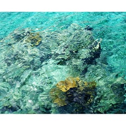 Bonaire türkis