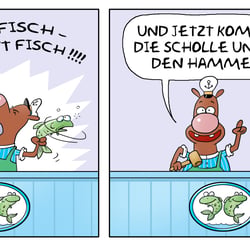 Plattfisch