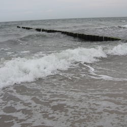 img 0287