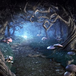 Enchanted Forest | TiefenWerft