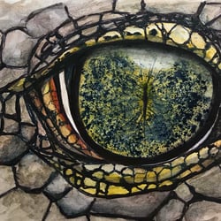 Reptilienaugen4