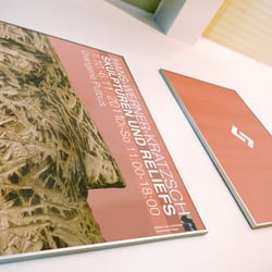 Plakat für Galerie Landkreis Vorpommern-Rügen in Putbus
