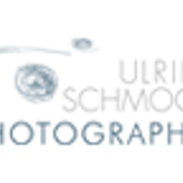 Ulrike Schmock