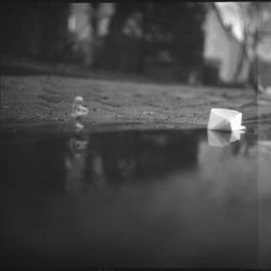 boat on the river