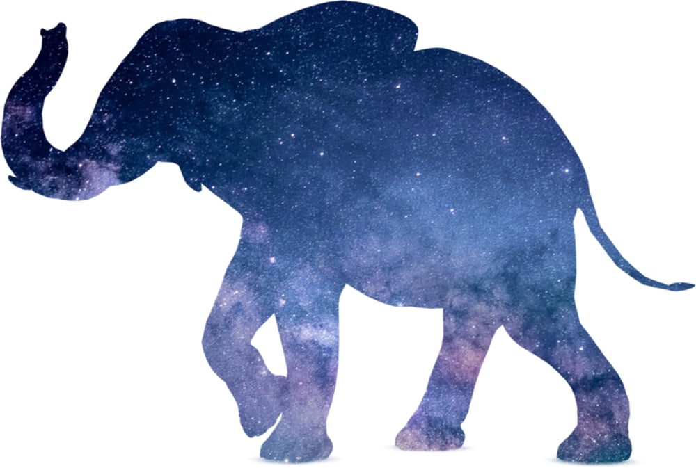 Elefant