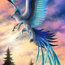 Wings of Ice