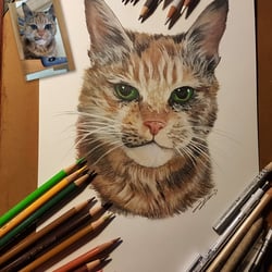 Handgemaltes Katzenporträt mit Prismacolors (Buntstiften) auf Künstlerpapier