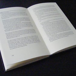 Doppelseite, Inhalt
