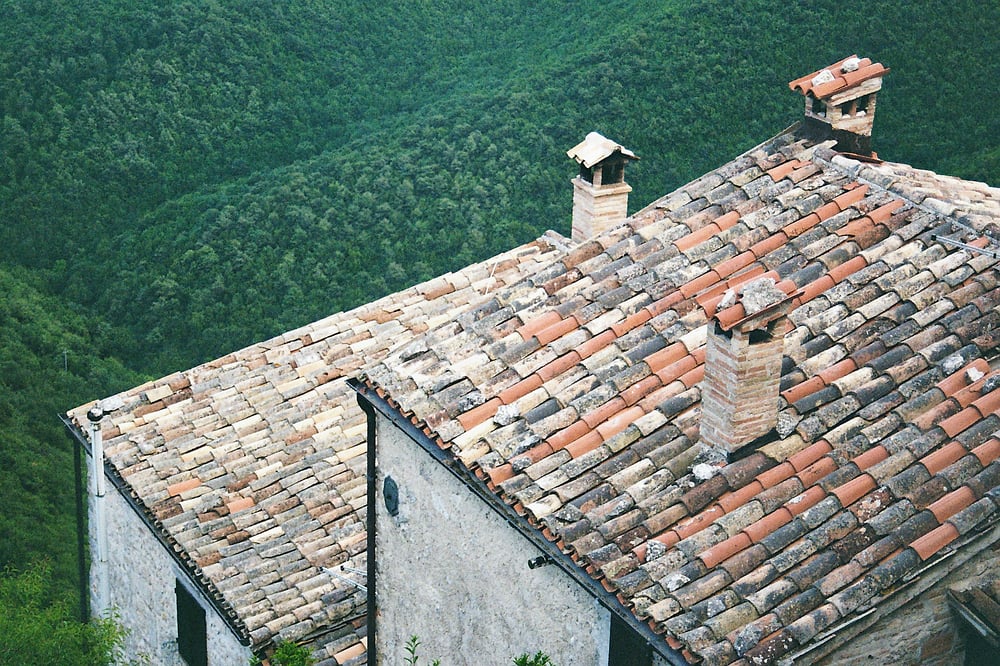 ROOFS & FORRESTS – Johannes Ziegler Analog Fotografie