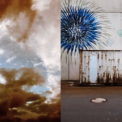 20110505 Portfolio 035
