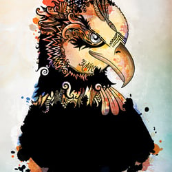 Der Weißkopfseeadler