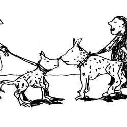 Hundetreffen