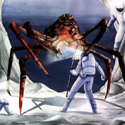 Seespinne