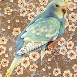 IM NAMEN MEINES VOGELS