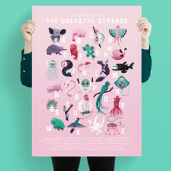 ABC Poster – Illustrationen & Design