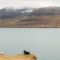 Føroyar
