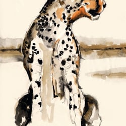 Gepard