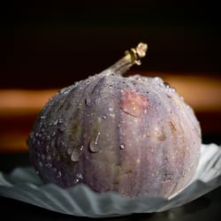Food | Art | Feige