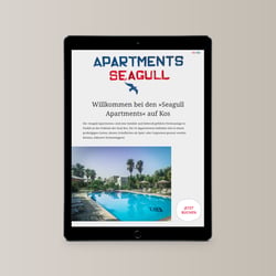 Website RWD iPad