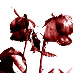 Deco/Style 2012
